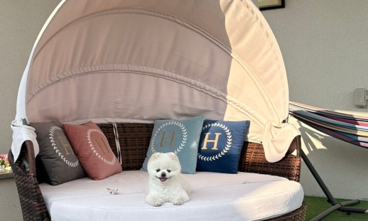 KakaoTalk_20251230_133204123