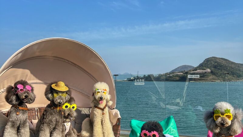 KakaoTalk_20251230_133204123_02