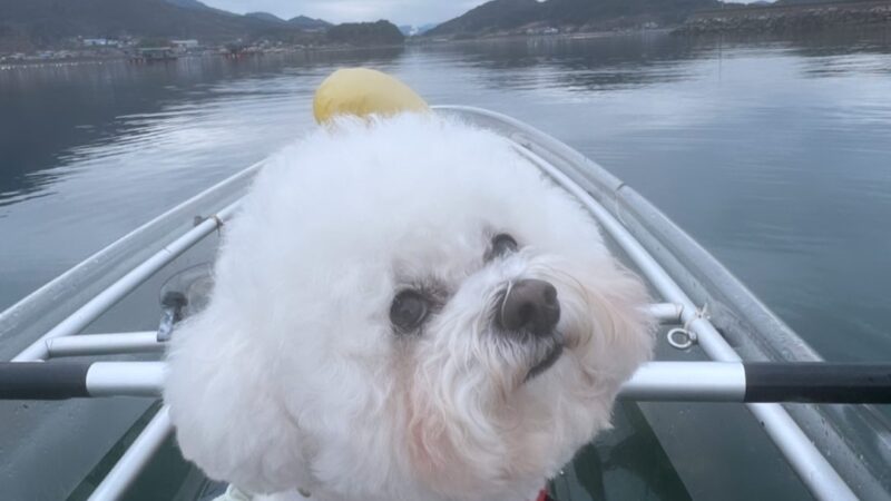 KakaoTalk_20251230_133204123_06