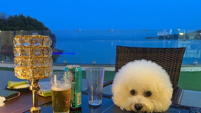 KakaoTalk_20251230_133204123_07