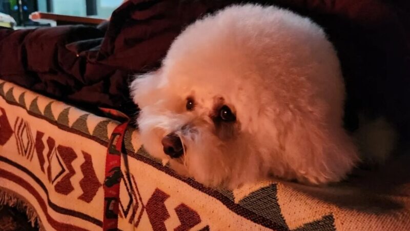 KakaoTalk_20251230_133204123_08