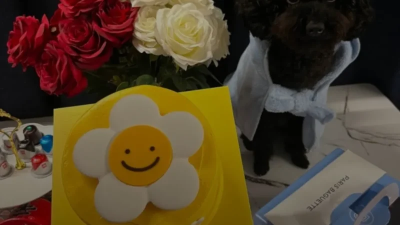 KakaoTalk_20251230_133204123_10